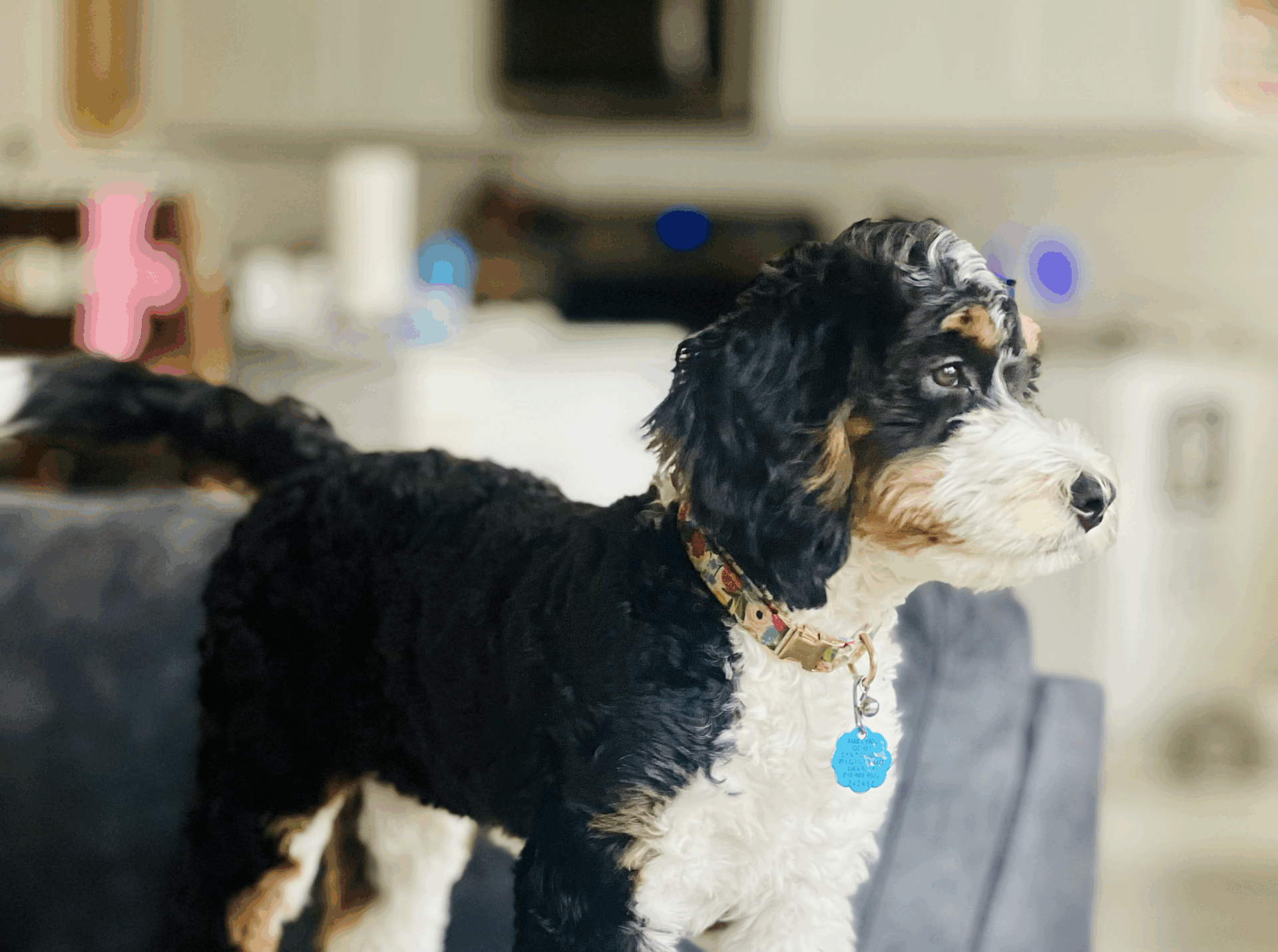 Photo of Cora Lou Martin