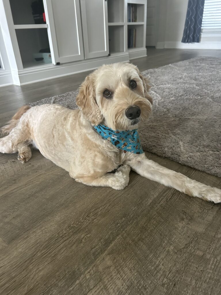 Photo of Gunner Untisz