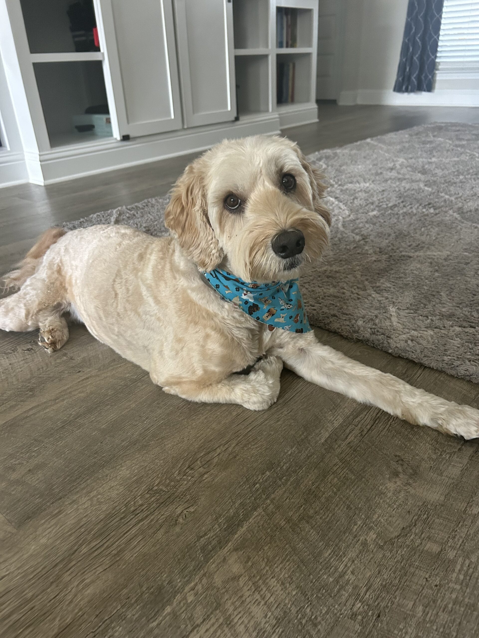 Photo of Gunner Untisz