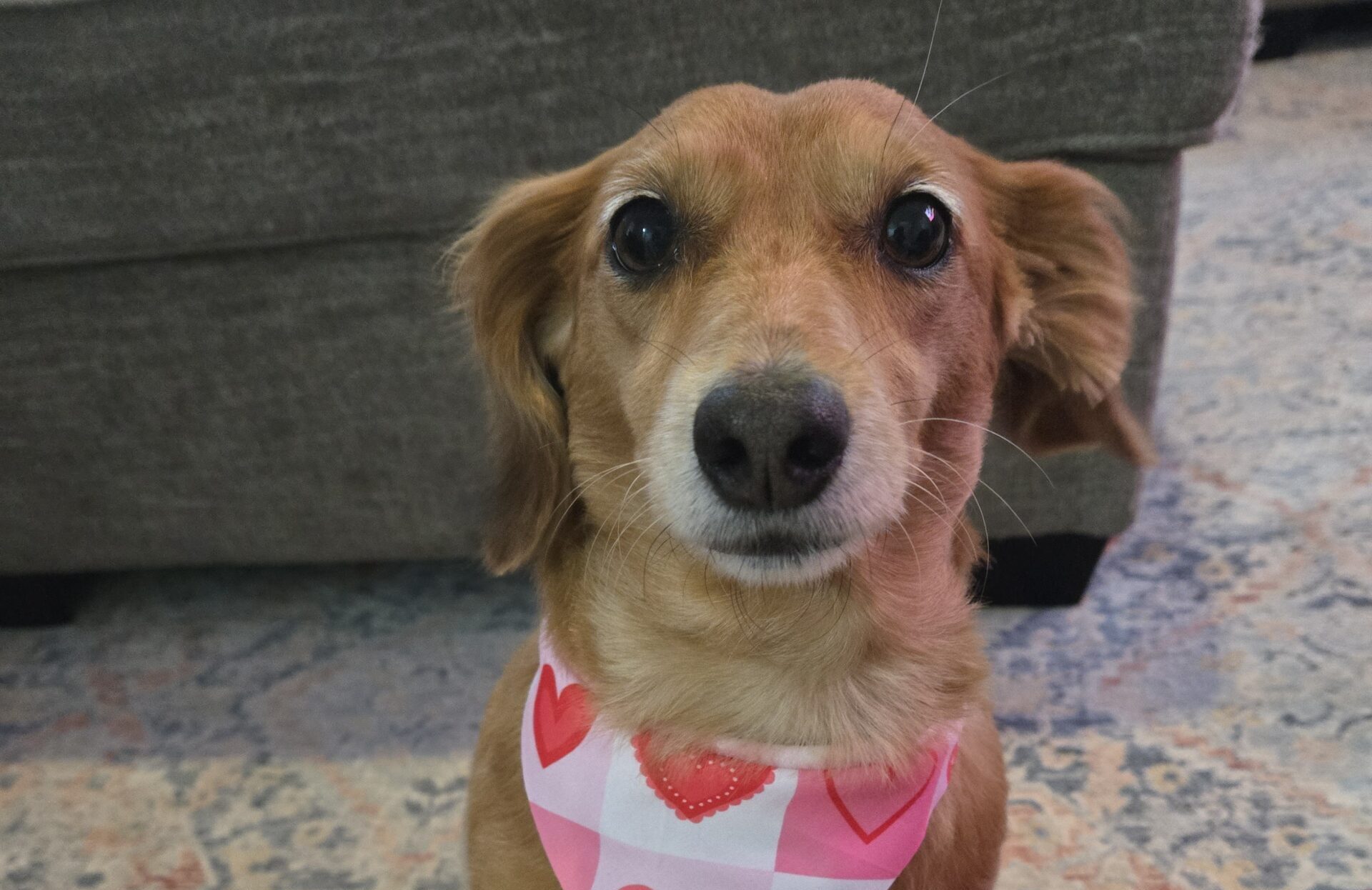 Photo of Rosie Myers