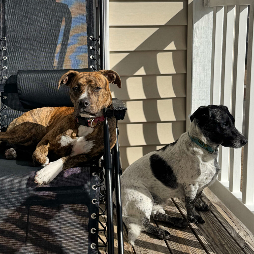 Photo of Maximus Moose and Mayz Richardson