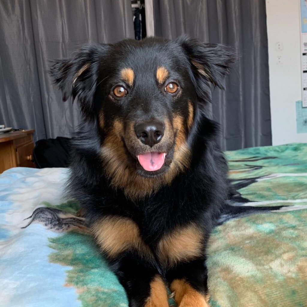 Photo of Shiloh Carlock