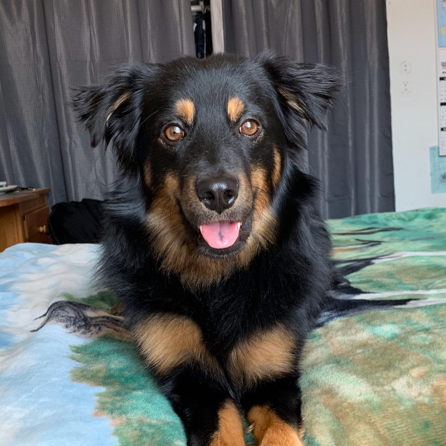 Photo of Shiloh Carlock