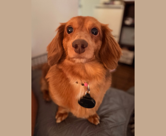 Photo of Juno Marie Campos
